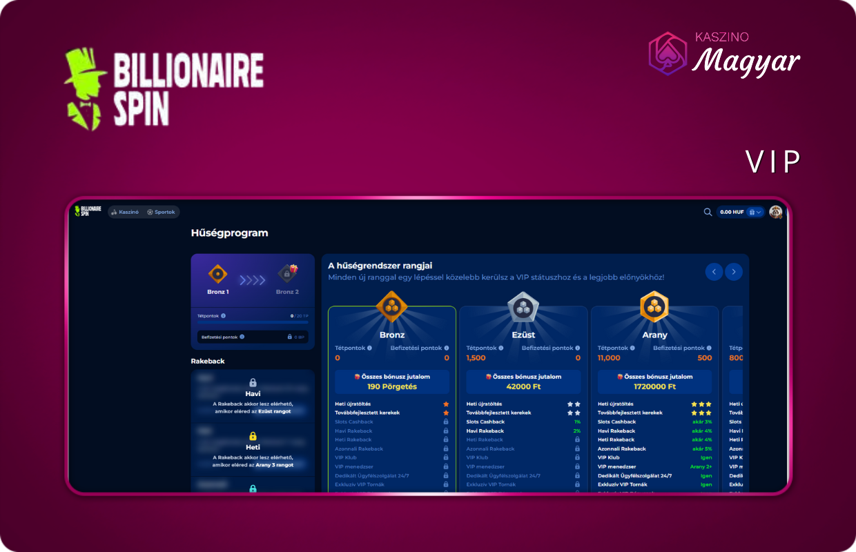 VIP program Billionaire Spin